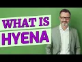 Hyena Definition of hyena