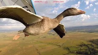 تلاوة إعجازية لسورة الكهف محمد صديق المنشاوي مع مناظر طبيعة تحبس الأنفاس رمضان 2025 