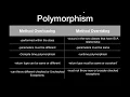 JAVA INTERVIEW QUESTIONS Method Overloading vs Overriding