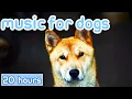 Download Lagu [NO ADS] Music for Dogs: Gentle Songs to Promote Sleep, Cure Depression!