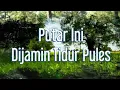 Download Lagu Music Pengantar Tidur Suara Burung Dialam