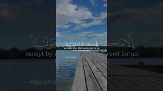 Muslims Islam قران كريم اللهم صل وسلم وبارك على نبينا محمد تلاوة اسلام مسلم Quran Allah 