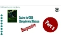 Adobe Dreamweaver CC CSS Responsive DropDown Menu Part 2