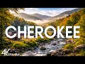 Top 10 Best Things to Do in Cherokee North Carolina Cherokee Travel Guide 2026