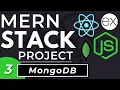 MongoDB MERN Stack Tutorial MERN Project Data