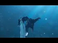 Download Lagu Kissing Underwater {Ep 8 Love between Fairy and Devil} OST The Other Side by Jing Long x Jing Di'er