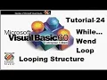 Looping structure in visual basic while wend loop Tutorial 24