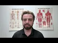 Debunking Cupping Massage Therapy - Does It Really Work