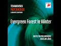 The Nutcracker, Op. 71/TH14: Act I: Evergreen Forest in Winter