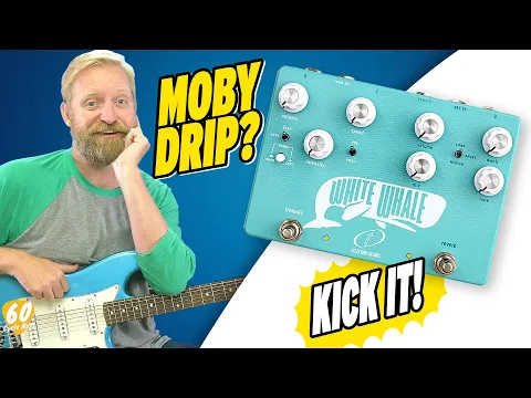 Crazy Tube Circuit White Whale V2 Spring Reverb | Delicious Audio
