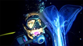 Things That Go BUMP IN THE NIGHT! ~DRENCHED Ep. 7~