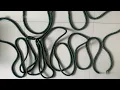 Only 5 73 Ultimate Expandable Garden Hose Effortless Yard Watering Washing