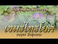 เขมรไทรโยค - ยงยุทธ ผิวสุวรรณ (เพลงบรรเลง) [ Official Audio ]