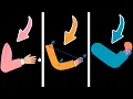 DUIK ANGELA Hand Rigging with 3 WAYS After Effects Tutorials