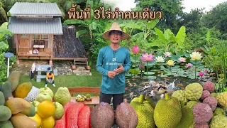 3ไร่ทำคนเดียว👨‍🌾หิ้วน้ำรด4ปีปลูกแต่ผลไม้ดีๆมีของกินทั้งปีล้นสวน