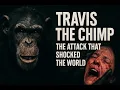 TRAVIS THE CHIMP THE ATTACK THAT SHOCKED AMERICA