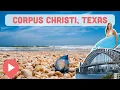 Best Things to Do in Corpus Christi Texas