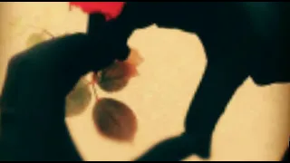 اغنية ساكن مايروم بدون موسيقى دندنها