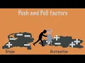 Push and Pull factors as drivers of migration