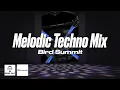 Melodic Techno Mix #35 |  Bird Summit - 2025 11/14
