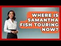 Where Is Samantha Fish Touring Now - Jazz Music Legends