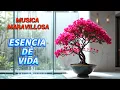 Download Lagu La mejor música instrumental relajante y emocional para el alma 🍃 Esencia de vida ✨