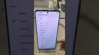                                     دندنها