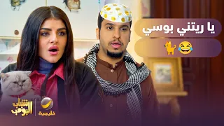يا ريتني بوسي 😂🐈 - شباب البومب