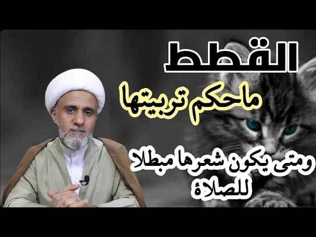 ⁣القطط هل يجوز تربيتها وماحكم شعرها في الصلاة/وحكم سؤرها وقيئها وفضلاتها وكيف تطهر من النجاسة