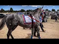 Futurity De La Sierra 2026 Miss Georgia vs El Gambucino Presitas Lane Durango Mexico