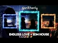 Download Lagu ENDLESS LOVE x ENDLESS LOVE (EDM HOUSE)