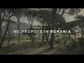 Gorje Hewek - Forest Song in the Morning [All Day I Dream] | Organic House Selection | #Romania