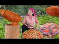 Download Lagu Harvesting Gac Fruit to Make  Gac Rice Sticky  Cakes \u0026 Selling Out Quickly | Huong Farming
