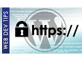 Force HTTPS Redirect on WordPress websites via plugin or htaccess update