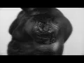 Ruger – Muhammad Ali (Can't Relate)