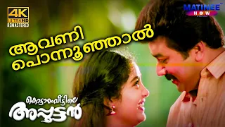 aavani ponnunjal video song 4k remastered kottaram veetile apputtan jayaram