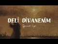 Ziynet Sali - Deli Divanenim (Speed Up)