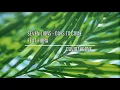 Seven Lions -  Days To Come feat Fiora