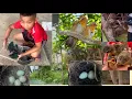 Download Lagu Tặng cháu nhỏ 3 con chim,hoạ mi tiếp tục đẻ ấp và những cặp chim sinh sản trong avi,thả chòe than