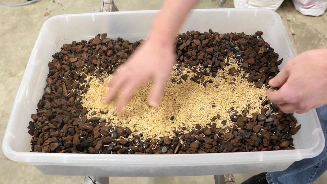 HOW TO MAKE ORCHID BARK MIX FOR CATTLEYA TYPES