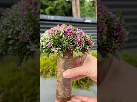 Sådan laver du de sødeste DIY lyng træ