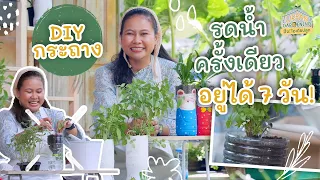 DIY กระถางต้นไม้ไม่ต้องรดน้ำบ่อย | Urban Gardening ปิ๊ง! ไอเดียปลูก