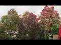 Windy November day in Edison NJ