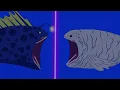 Download Lagu BLOOP IS BACK VS THE EVOLUTION BLOOP - GODZILLA CARTOON