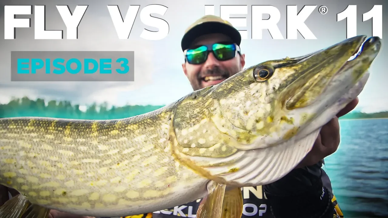 video Fly vs jerk 11