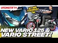 HONDA NEW VARIO STREET dan NEW VARIO 125..!!! YUK LIHAT DETAILNYA l Otomotif TV