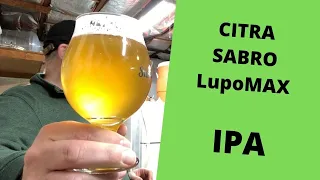 Download Driving Hop Aroma *No Dry Hopping* Citra \u0026 Sabro LUPOMAX IPA MP3