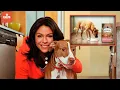 Rachael Ray s Dog Food Controversy Recall Reviews
