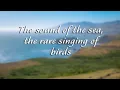 Download Lagu 1 stunda jūras skaņas ar retu putnu dziesmu Relaksējošas dabas skaņas