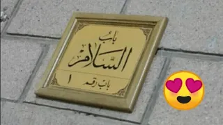جينا المدينة   نسمات هواك لها أرج    مجلس السادات المجاهدين دندنها